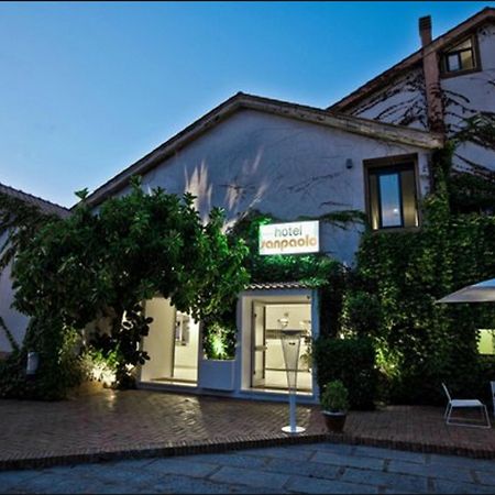 Hotel San Paolo Palinuro Extérieur photo